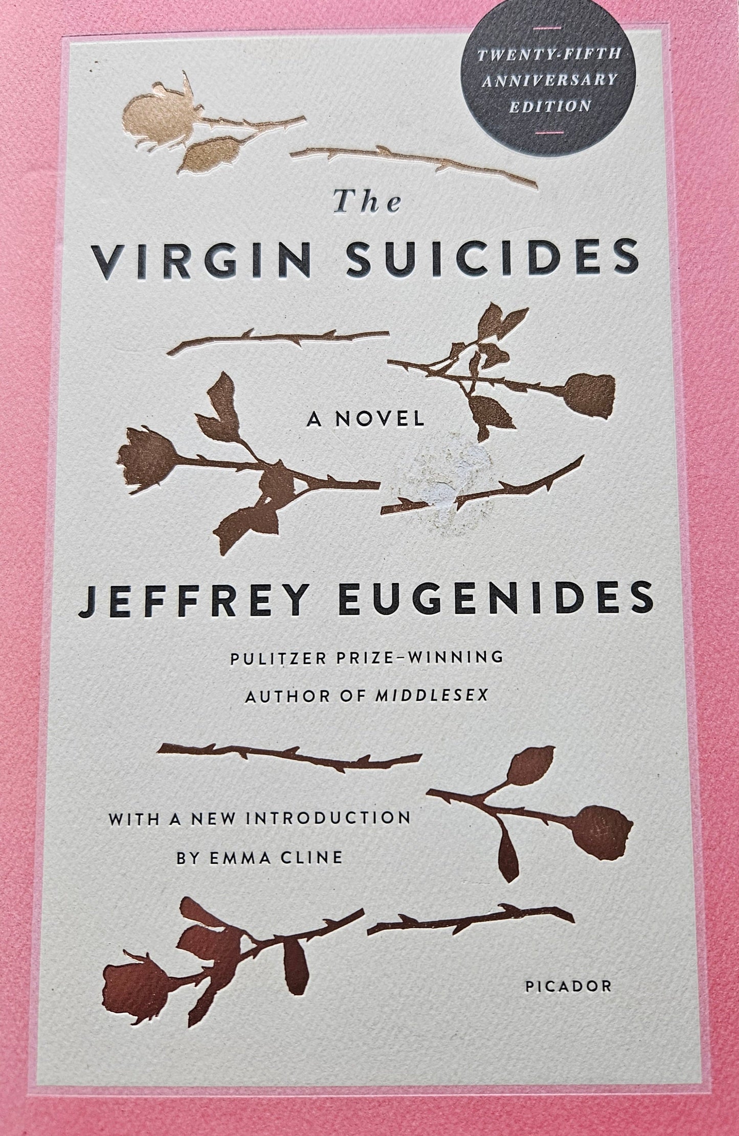 The Virgin Suicides