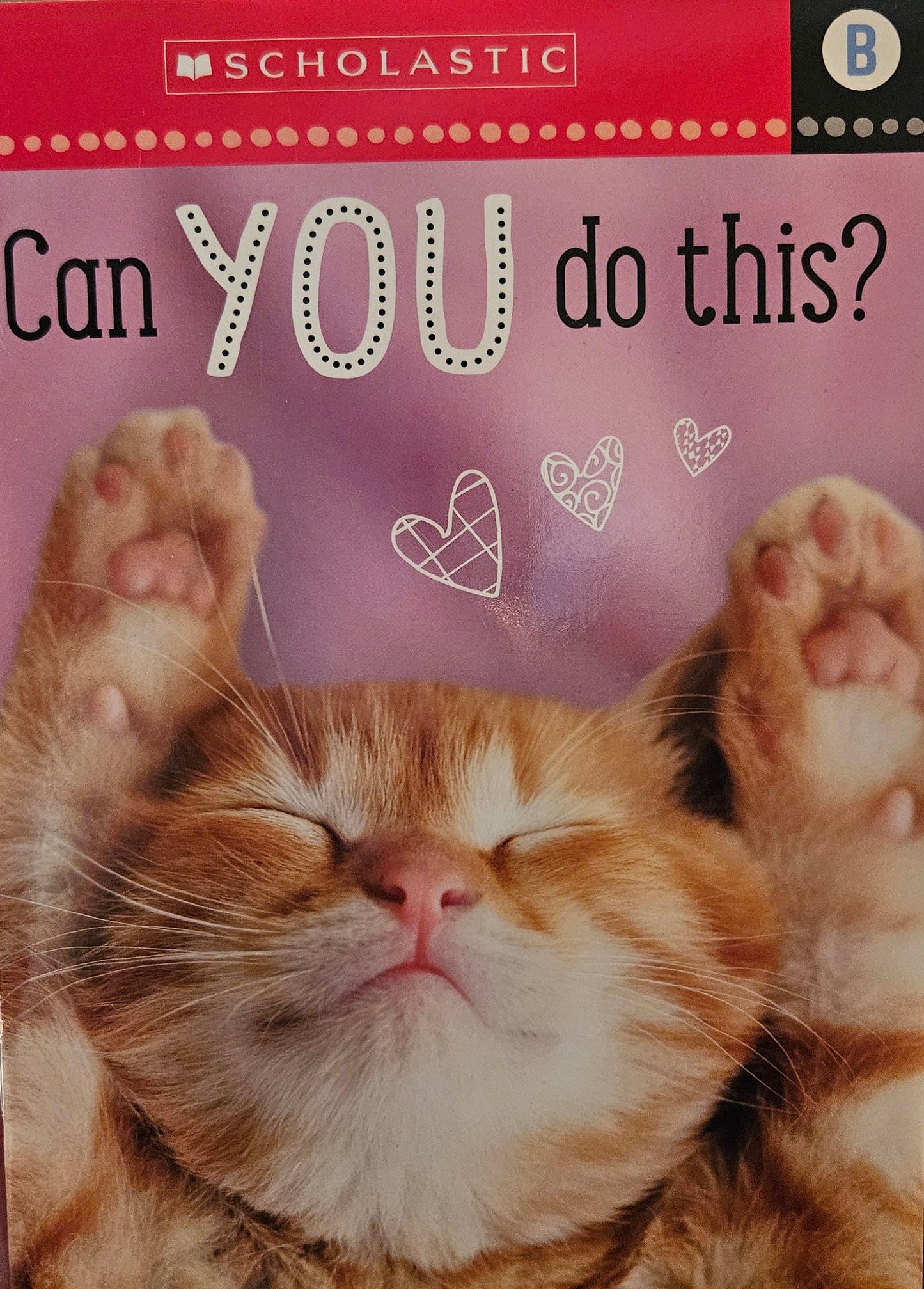 Can You Do This?